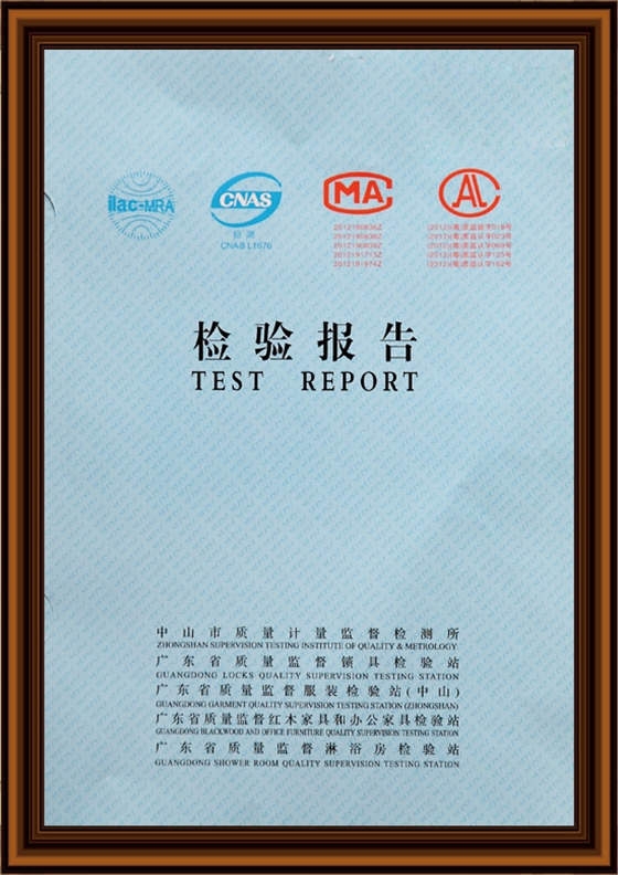 漆強漆檢驗報告 漆強漆檢驗報告