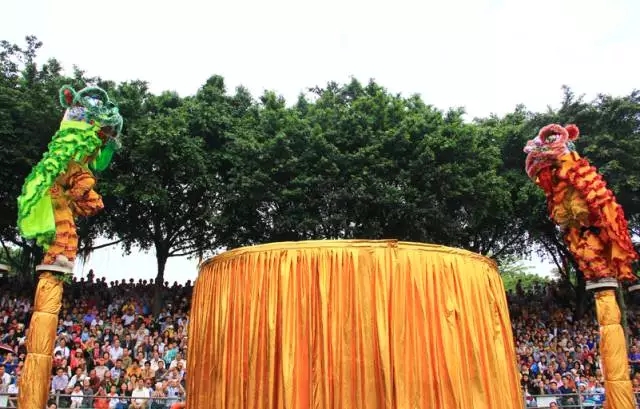 漆強化工資訊_獅王爭霸.jpg 漆強化工資訊_獅王爭霸.jpg