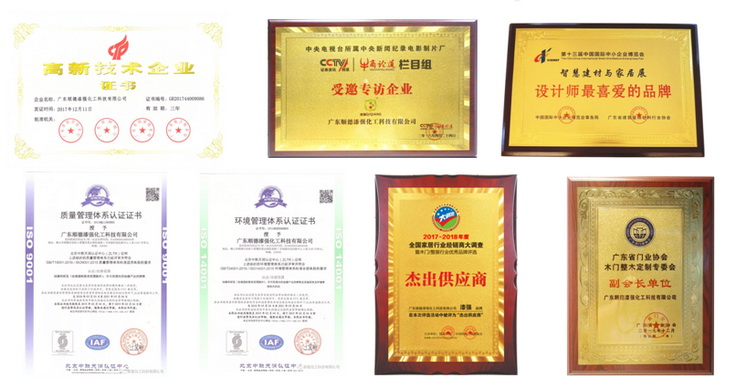 漆強(qiáng)榮譽(yù) 漆強(qiáng)榮譽(yù)