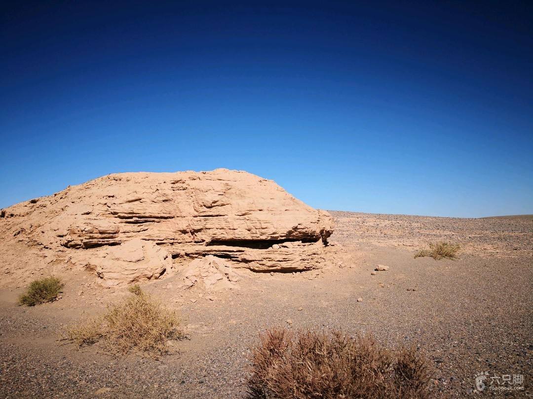 timg (3).jpg timg (3).jpg